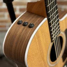 Taylor 214ce Walnut #2202215377 【送料当社負担・最大48回分割無金利】_8