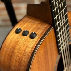 Taylor 724ce Gloss 【送料当社負担・最大48回分割無金利】_8
