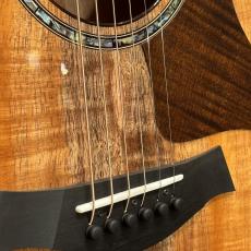 Taylor 724ce Gloss 【送料当社負担・最大48回分割無金利】_9