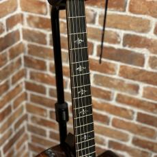 Taylor Builder`s Edition 914ce【送料当社負担・最大48回分割無金利】_5