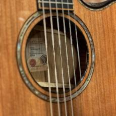 Taylor Builder`s Edition 914ce【送料当社負担・最大48回分割無金利】_11