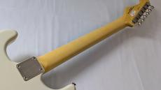 FUJIGEN FGN NST100RAL-VWH/01 【OEG-016】_8