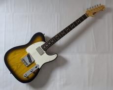 FUJIGEN NTE210RAH-2TS/01 【OEG-008】