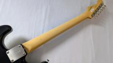 FUJIGEN FGN NST200RAL-BK/01 【OEG-001】_7