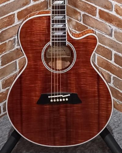 Takamine TSP178ACK N #63030480【送料当社負担・最大48回分割無金利】