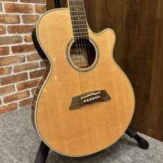 Takamine TSP138C N #62080437【送料当社負担・最大48回分割無金利】