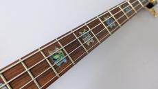 Spector USA NS-2 -TBK- 【4.50kg】【2012/USED】_5