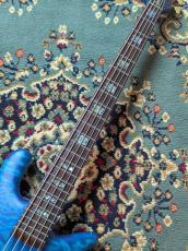 Spector USA NS-5XL【2013/USED】_5