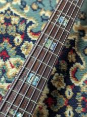 Spector USA NS-5XL【2013/USED】_6