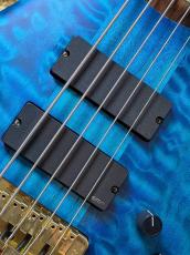 Spector USA NS-5XL【2013/USED】_8