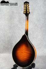 Collings MT-2 SB (2000) シリアル43番の初期の作品です!_3