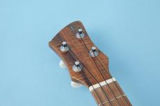 Ka Lani Concert Rice Ukulele Koa Model_3