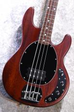 Sterling by MUSIC MAN SUB Series StingRay Ray4 WS Walnut Satin 【USED/中古】【4.34kg】【ST-RAY4-WS-J1】