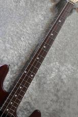 Sterling by MUSIC MAN SUB Series StingRay Ray4 WS Walnut Satin 【USED/中古】【4.34kg】【ST-RAY4-WS-J1】_3