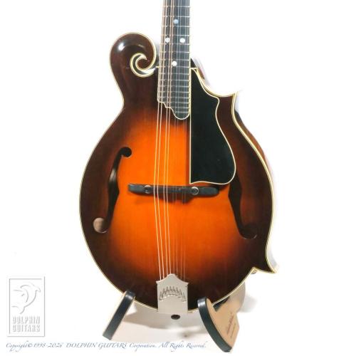 QUINT QT-F5【36回無金利対象品】