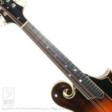 QUINT QT-F5【36回無金利対象品】_5