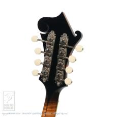 QUINT QT-F5【36回無金利対象品】_8