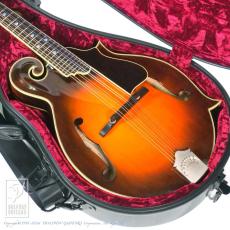 QUINT QT-F5【36回無金利対象品】_13