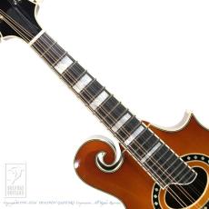 Eastman MD-614/GB【36回無金利対象品】_5