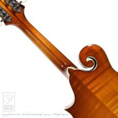 Eastman MD-614/GB【36回無金利対象品】_6