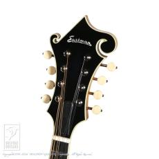 Eastman MD-614/GB【36回無金利対象品】_7