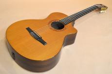 Taylor JMSM Jason Mraz Signature　2010年製_2