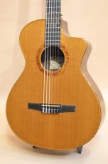 Taylor JMSM Jason Mraz Signature　2010年製_5