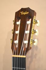 Taylor JMSM Jason Mraz Signature　2010年製_7