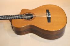 Taylor JMSM Jason Mraz Signature　2010年製_12
