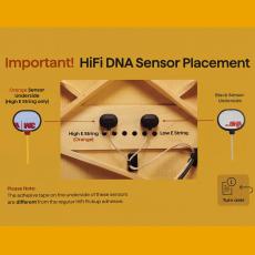 L.R.Baggs HiFi-DNA_3