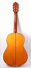 Hiroshi Tamura　[田村　廣] C-100　Flamenco Blanca_2