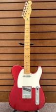 Fender Japan TL-STD_2