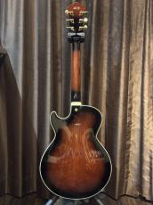 Ibanez AG95QA_2