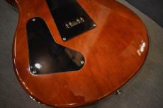 Paul Reed Smith [PRS] SE Custom 24【USED/2017年】 _14