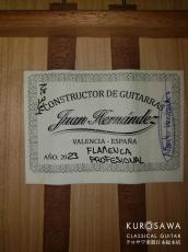 Juan Hernandez [ホアン・エルナンデス] Flamenca Profesional 松・シープレス【日本総本店2F 在庫品】_4
