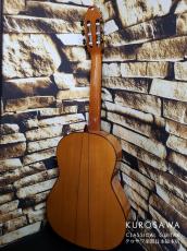 Juan Hernandez [ホアン・エルナンデス] Flamenca Profesional 松・シープレス【日本総本店2F 在庫品】_6