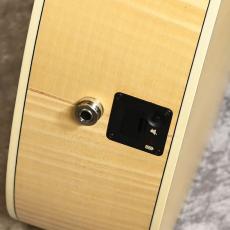 Ibanez 【USED】 AN419E-OAW [SPOT MODEL][2018年製]【G-CLUB TOKYO】_12