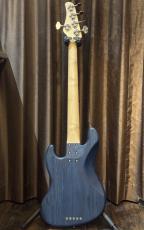 SCHECTER PS-S-JB5_2