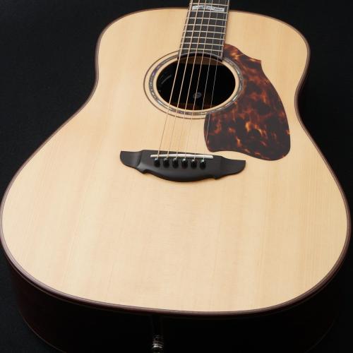 Terry's Terry 【当店最後の入荷!】 Premium Terry PTJ-100 MS GRAPE 【現物動画あり】【48回無金利】