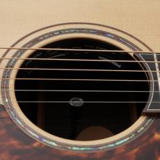 Terry's Terry 【当店最後の入荷!】 Premium Terry PTJ-100 MS GRAPE 【現物動画あり】【48回無金利】_8