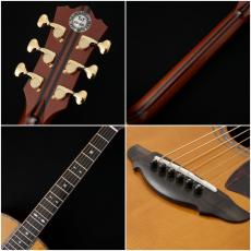 Terry's Terry Premium Terry PTJ-100 AB #84 【現物動画あり】【アディロン x ハカランダ】【48回無金利】_5
