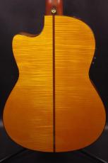 YAMAHA NCX2000FM_3