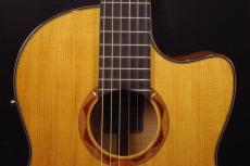 YAMAHA NCX2000FM_8