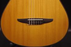 YAMAHA NCX2000FM_9
