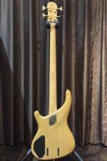 Greco PXB-80_2