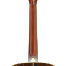 Martin D-45 Marquis *2007_9