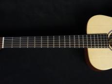 Martin LX-1E_4