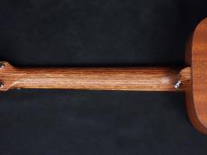 Martin LX-1E_8