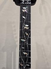 Ibanez RGR8270 「White Moonstone」 NEW モデル!_4