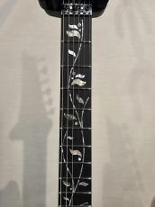 Ibanez RGR8270 「Black Diamond」 NEW モデル!_4